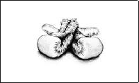 boxe_gants.gif
