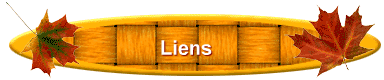 Liens