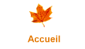 Accueil