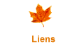 Liens