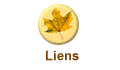Liens